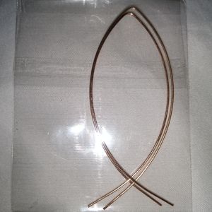 Hook earrings / fish earrings